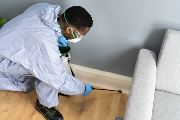 Best Termite Inspection and Treatment  in Carrollton, OH